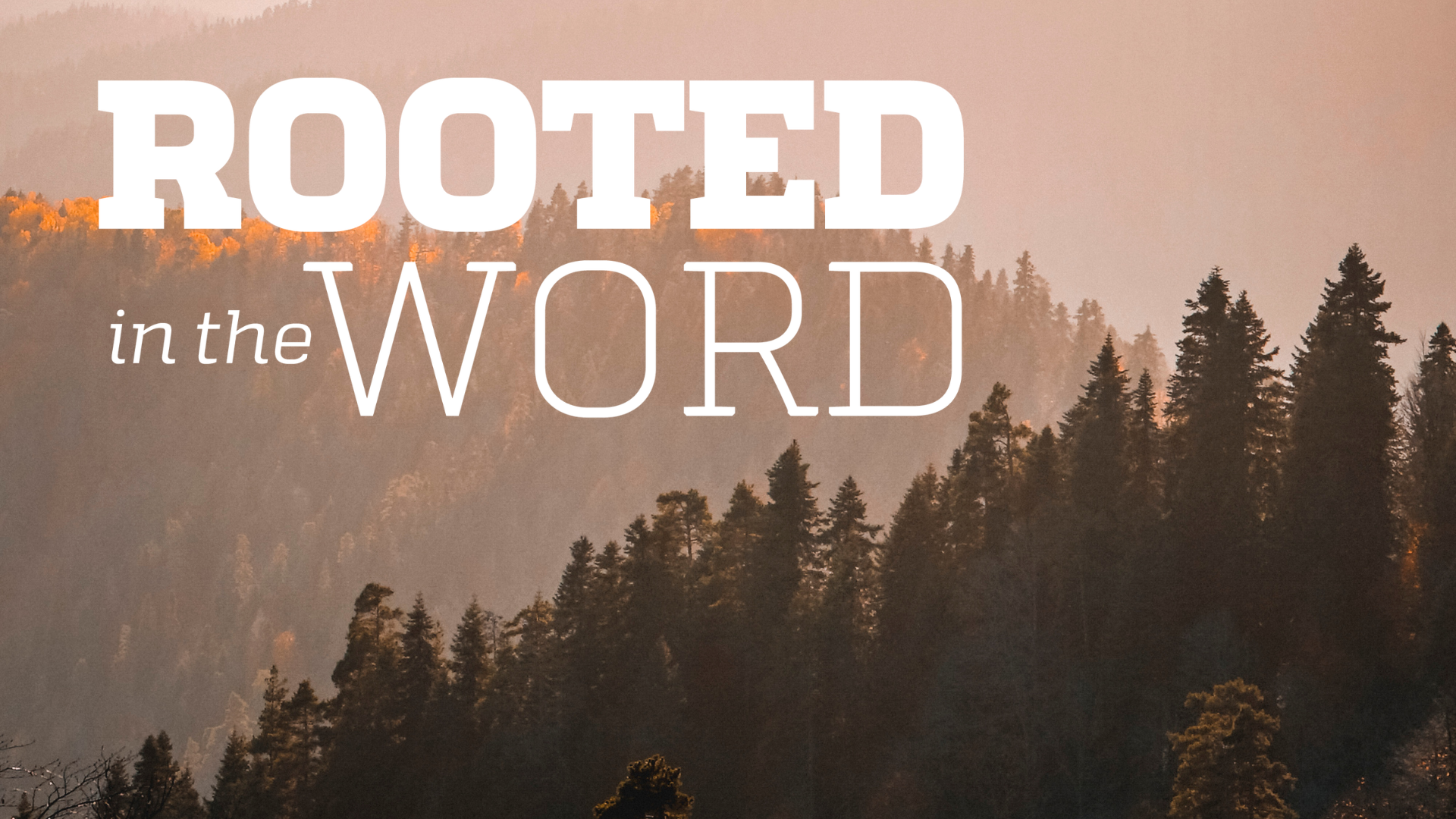 Rooted_1.png